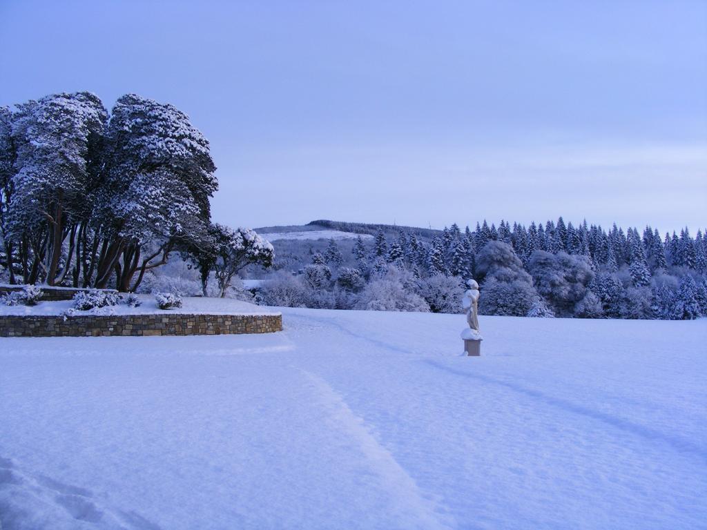 Kilronan Castle Hotel & Spa Ballyfarnon Exterior foto